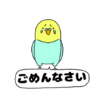 【吹き出し】インコのぴーちゃん（個別スタンプ：26）