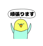 【吹き出し】インコのぴーちゃん（個別スタンプ：28）