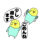【吹き出し】インコのぴーちゃん（個別スタンプ：31）