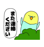 【吹き出し】インコのぴーちゃん（個別スタンプ：33）