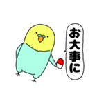 【吹き出し】インコのぴーちゃん（個別スタンプ：36）
