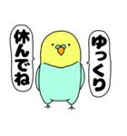 【吹き出し】インコのぴーちゃん（個別スタンプ：37）