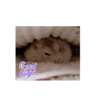 動く！ムギスタンプ（個別スタンプ：2）