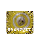 動く！ムギスタンプ（個別スタンプ：3）
