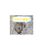 動く！ムギスタンプ（個別スタンプ：4）