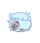 動く！ムギスタンプ（個別スタンプ：6）