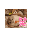 動く！ムギスタンプ（個別スタンプ：7）