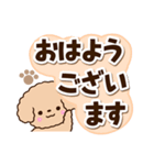 トイプードル「アプリコット」太字（個別スタンプ：1）