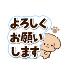 トイプードル「アプリコット」太字（個別スタンプ：2）