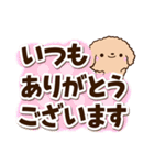 トイプードル「アプリコット」太字（個別スタンプ：5）