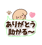 トイプードル「アプリコット」太字（個別スタンプ：7）