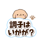 トイプードル「アプリコット」太字（個別スタンプ：8）