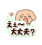 トイプードル「アプリコット」太字（個別スタンプ：10）