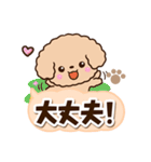トイプードル「アプリコット」太字（個別スタンプ：11）