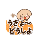トイプードル「アプリコット」太字（個別スタンプ：12）