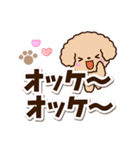 トイプードル「アプリコット」太字（個別スタンプ：14）