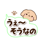 トイプードル「アプリコット」太字（個別スタンプ：16）
