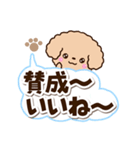 トイプードル「アプリコット」太字（個別スタンプ：17）