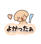 トイプードル「アプリコット」太字（個別スタンプ：18）