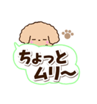 トイプードル「アプリコット」太字（個別スタンプ：19）