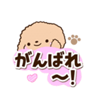 トイプードル「アプリコット」太字（個別スタンプ：20）