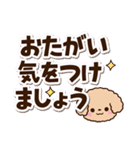トイプードル「アプリコット」太字（個別スタンプ：21）
