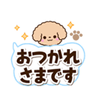 トイプードル「アプリコット」太字（個別スタンプ：24）
