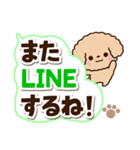 トイプードル「アプリコット」太字（個別スタンプ：25）