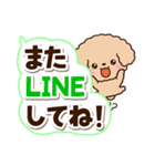 トイプードル「アプリコット」太字（個別スタンプ：26）