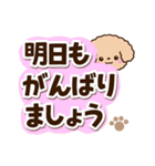 トイプードル「アプリコット」太字（個別スタンプ：27）
