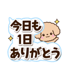 トイプードル「アプリコット」太字（個別スタンプ：30）