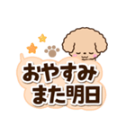トイプードル「アプリコット」太字（個別スタンプ：31）