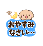 トイプードル「アプリコット」太字（個別スタンプ：32）