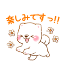 誘い誘われ言葉❤️いやしばいぬ❤️白柴犬（個別スタンプ：14）