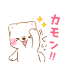 誘い誘われ言葉❤️いやしばいぬ❤️白柴犬（個別スタンプ：24）