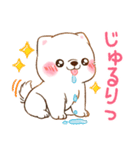 誘い誘われ言葉❤️いやしばいぬ❤️白柴犬（個別スタンプ：33）