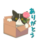毎日使える♡プチぷっくりぶーにゃん（個別スタンプ：10）