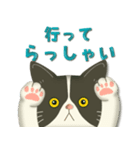 毎日使える♡プチぷっくりぶーにゃん（個別スタンプ：16）