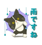 毎日使える♡プチぷっくりぶーにゃん（個別スタンプ：17）