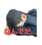 ネオ・オオカワ（個別スタンプ：19）