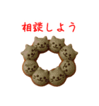 ドーナツの猫、アゲアゲで一言（個別スタンプ：14）