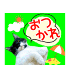 ヤングミツ夫の日常会話（夏バージョン)（個別スタンプ：2）