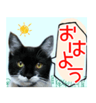 ヤングミツ夫の日常会話（夏バージョン)（個別スタンプ：4）