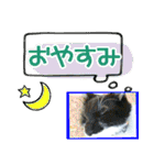 ヤングミツ夫の日常会話（夏バージョン)（個別スタンプ：9）