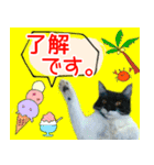 ヤングミツ夫の日常会話（夏バージョン)（個別スタンプ：12）