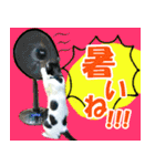 ヤングミツ夫の日常会話（夏バージョン)（個別スタンプ：14）