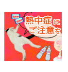 ヤングミツ夫の日常会話（夏バージョン)（個別スタンプ：17）
