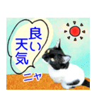 ヤングミツ夫の日常会話（夏バージョン)（個別スタンプ：18）