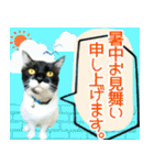 ヤングミツ夫の日常会話（夏バージョン)（個別スタンプ：20）