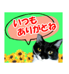 ヤングミツ夫の日常会話（夏バージョン)（個別スタンプ：22）